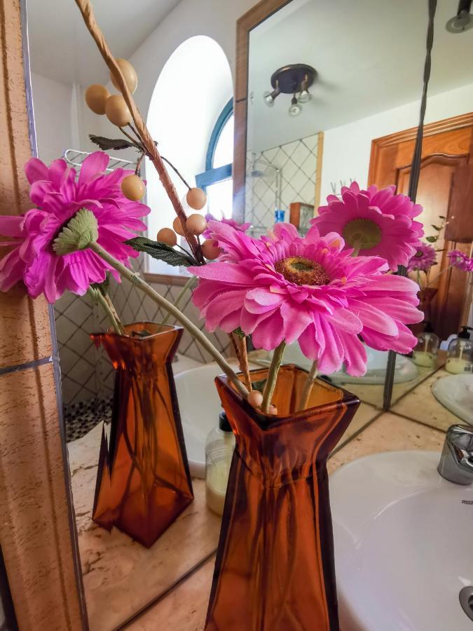 Paradise Villa كوراليهو المظهر الخارجي الصورة